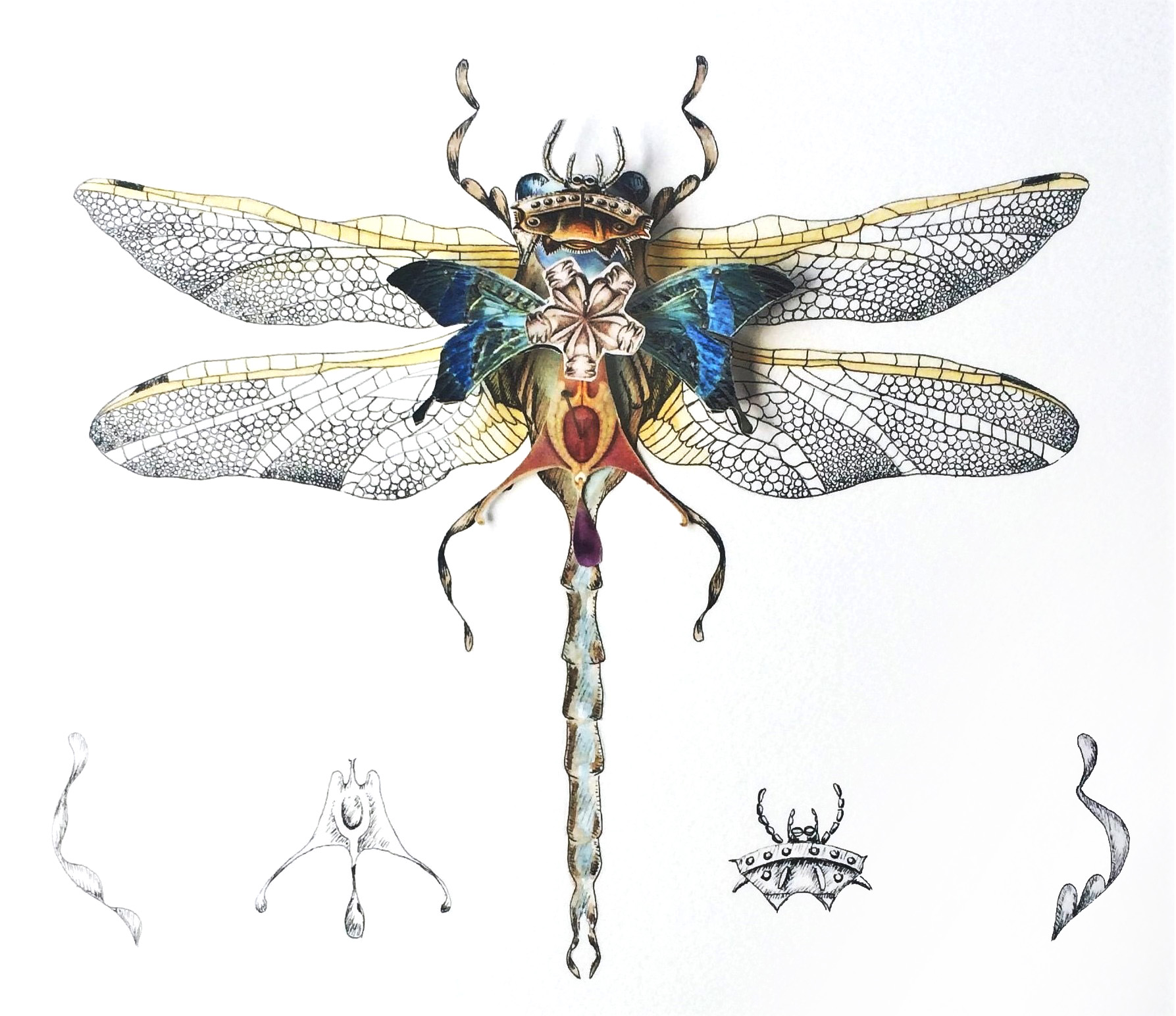 Insectum Patricia Rebello insectum-patricia-rebello